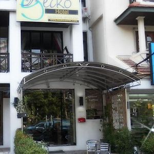 Gecko Hotel